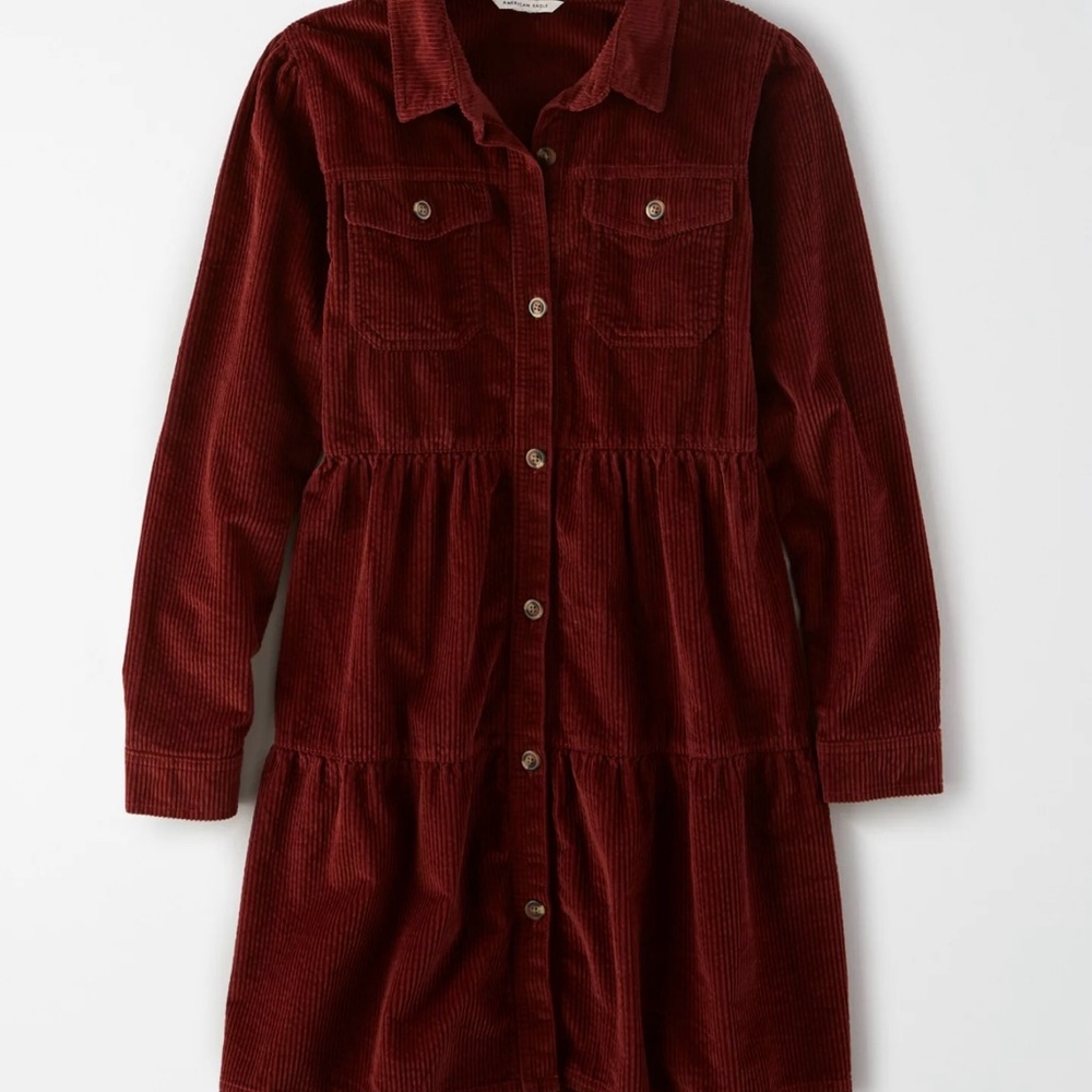 American Eagle Outfitters Burgundy Corduroy Dress - Picture 3 of 8